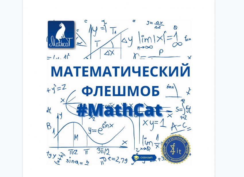 Развлекательно-образовательный  математический флэшмоб «MathCat»