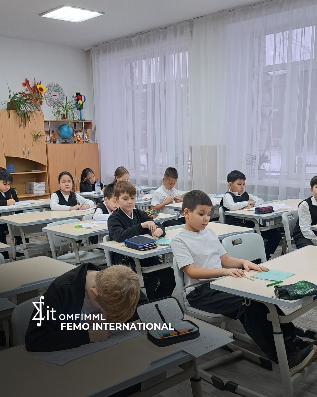 FEMO International